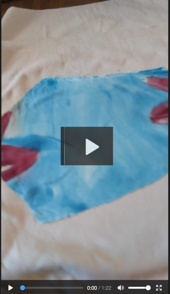 capture-video-haiti